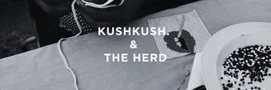 KushKush x The Herd Collaboration
