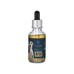 Pet CBD Oil